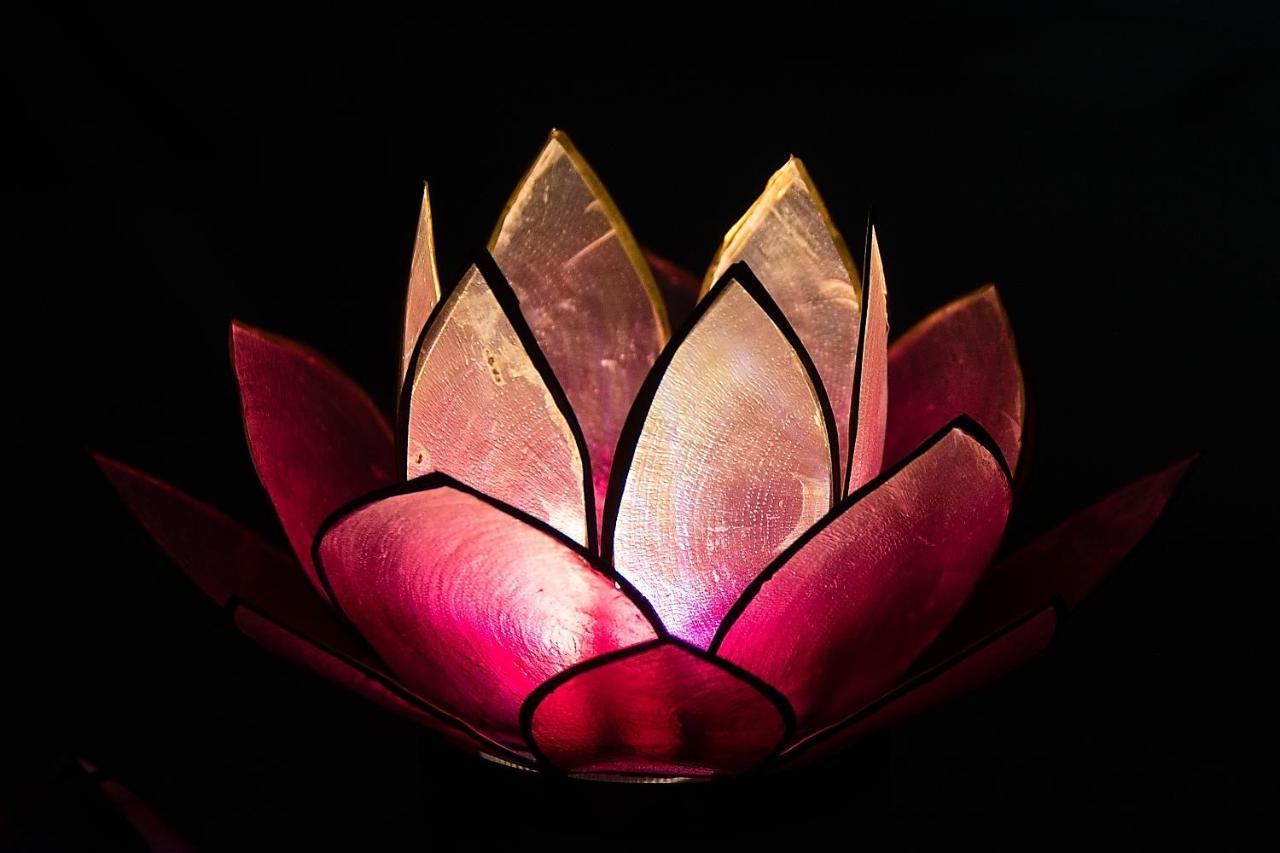 Pink Lotus Apartment Vienna Esterno foto